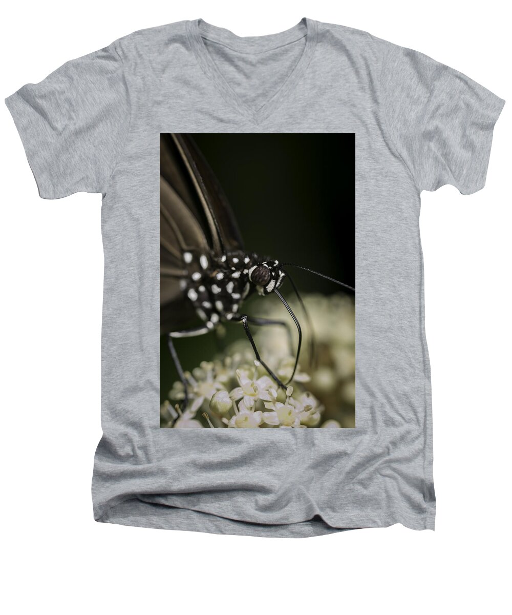 Macro Men's V-Neck T-Shirt featuring the photograph Butterfly by Chris Cousins