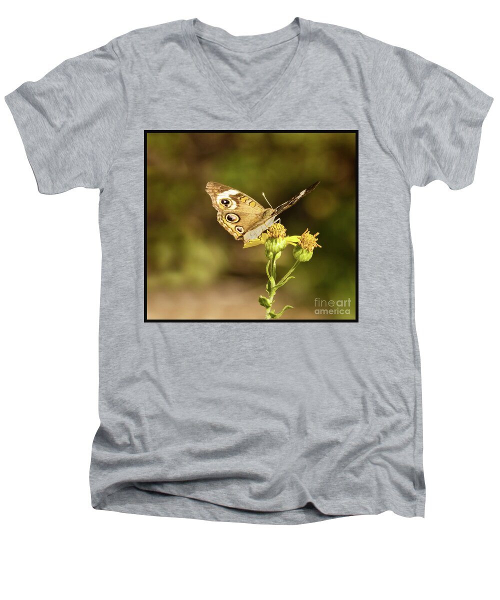Butterfly Men's V-Neck T-Shirt featuring the photograph Butterfly In Bokeh by Steven Parker