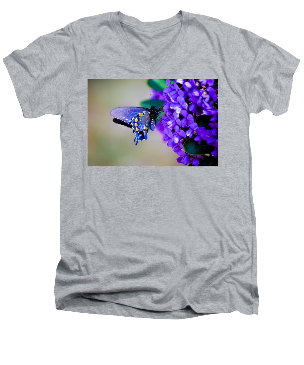 Butterfly Men's V-Neck T-Shirt featuring the photograph Butterfly on Mountain Laurel by Debbie Karnes