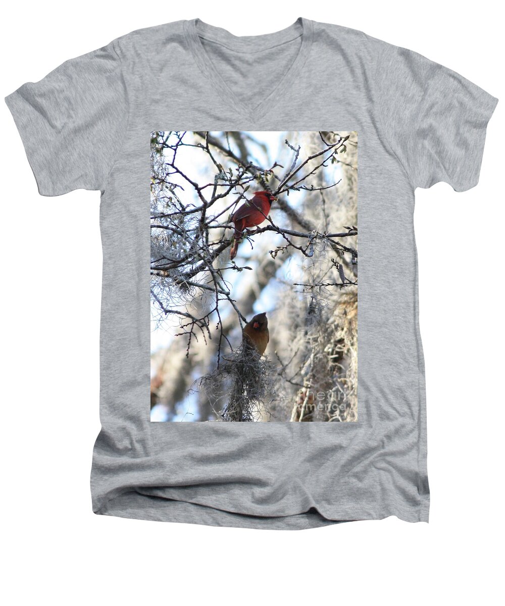 Wildlife Men's V-Neck T-Shirt featuring the photograph Cardinals in Mossy Tree by Carol Groenen