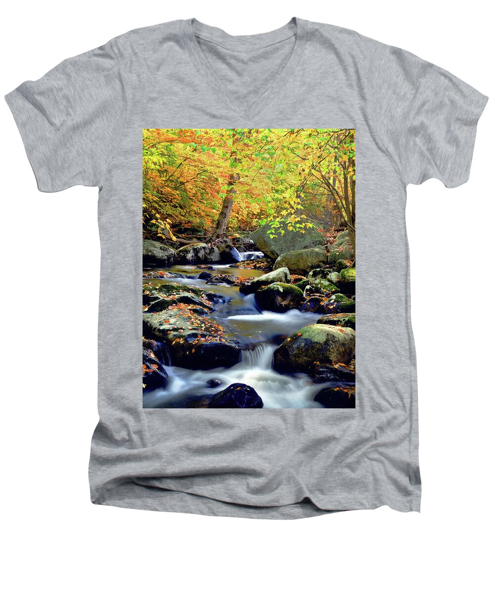 Adirondack Landscape Men's V-Neck T-Shirt featuring the photograph Cascade Brook by Frank Houck