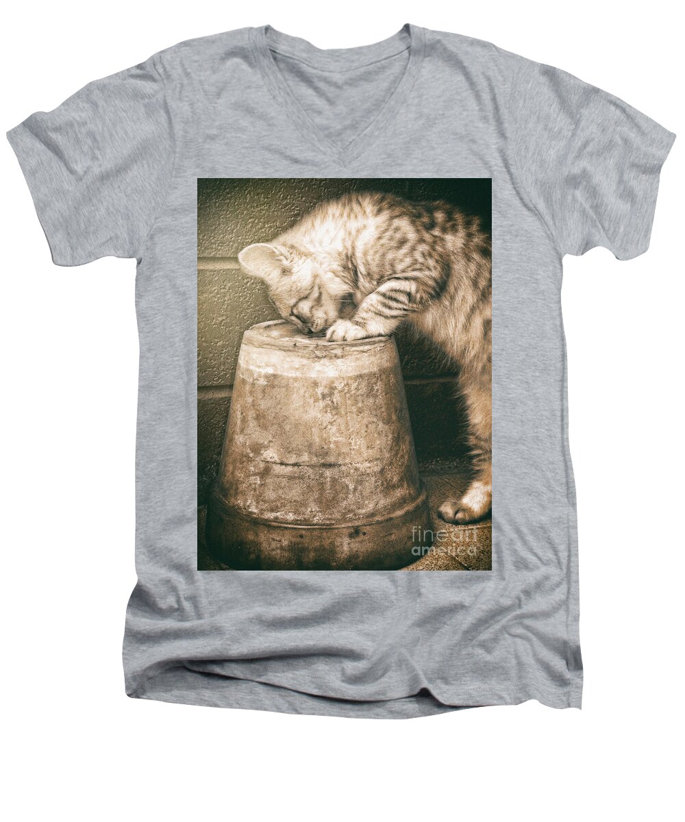 Pet Men's V-Neck T-Shirt featuring the photograph Cat curiosity by Giuseppe Esposito