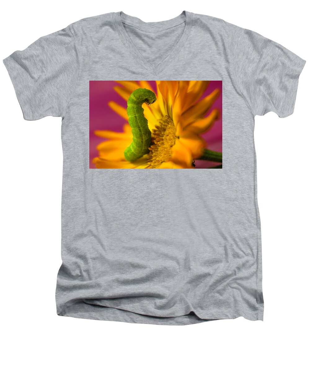 Caterpillar Men's V-Neck T-Shirt featuring the photograph Caterpillar in Flower by Wolfgang Stocker