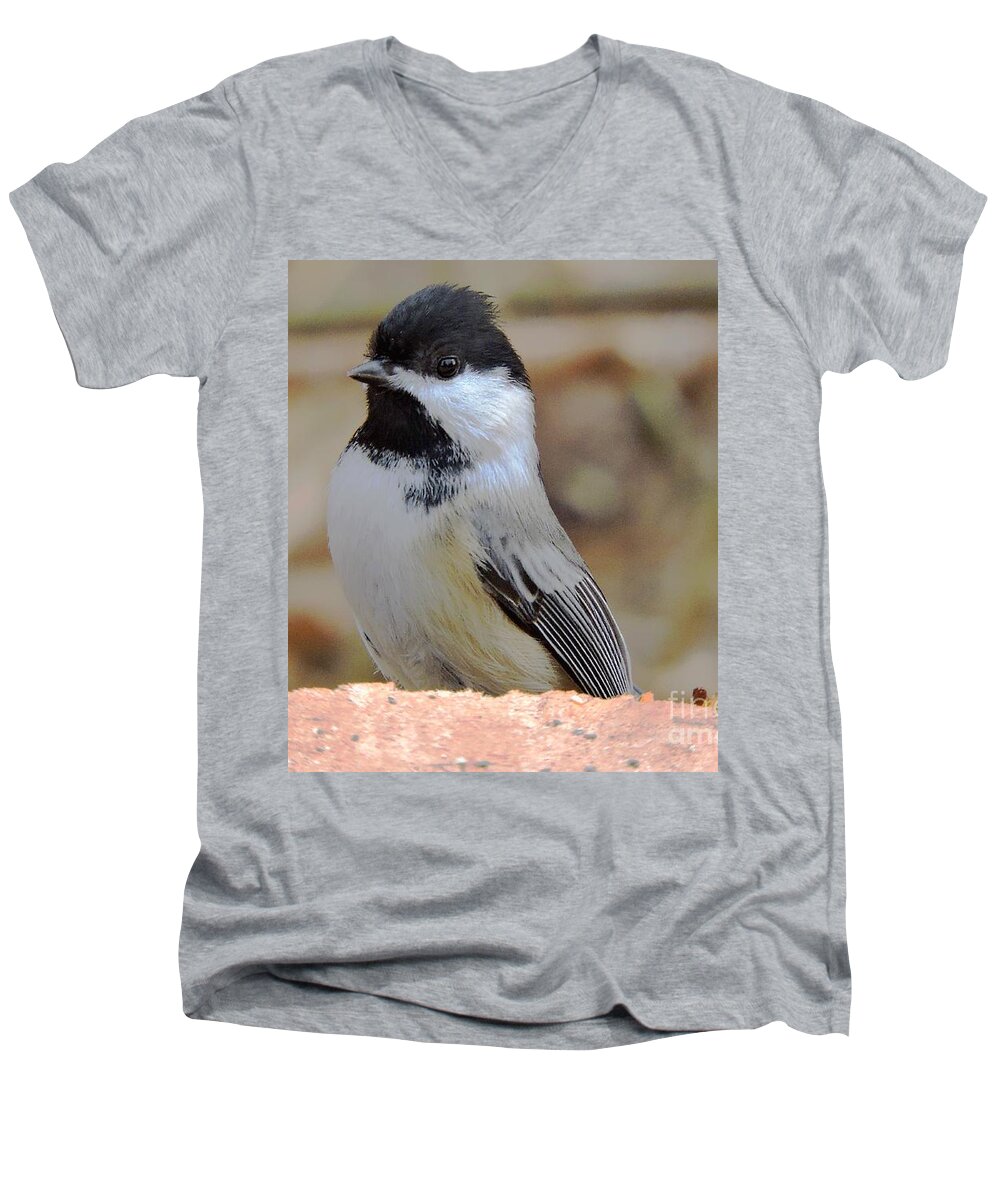Chickadee Men's V-Neck T-Shirt featuring the photograph Chickadee's Winter Reverie by Tami Quigley
