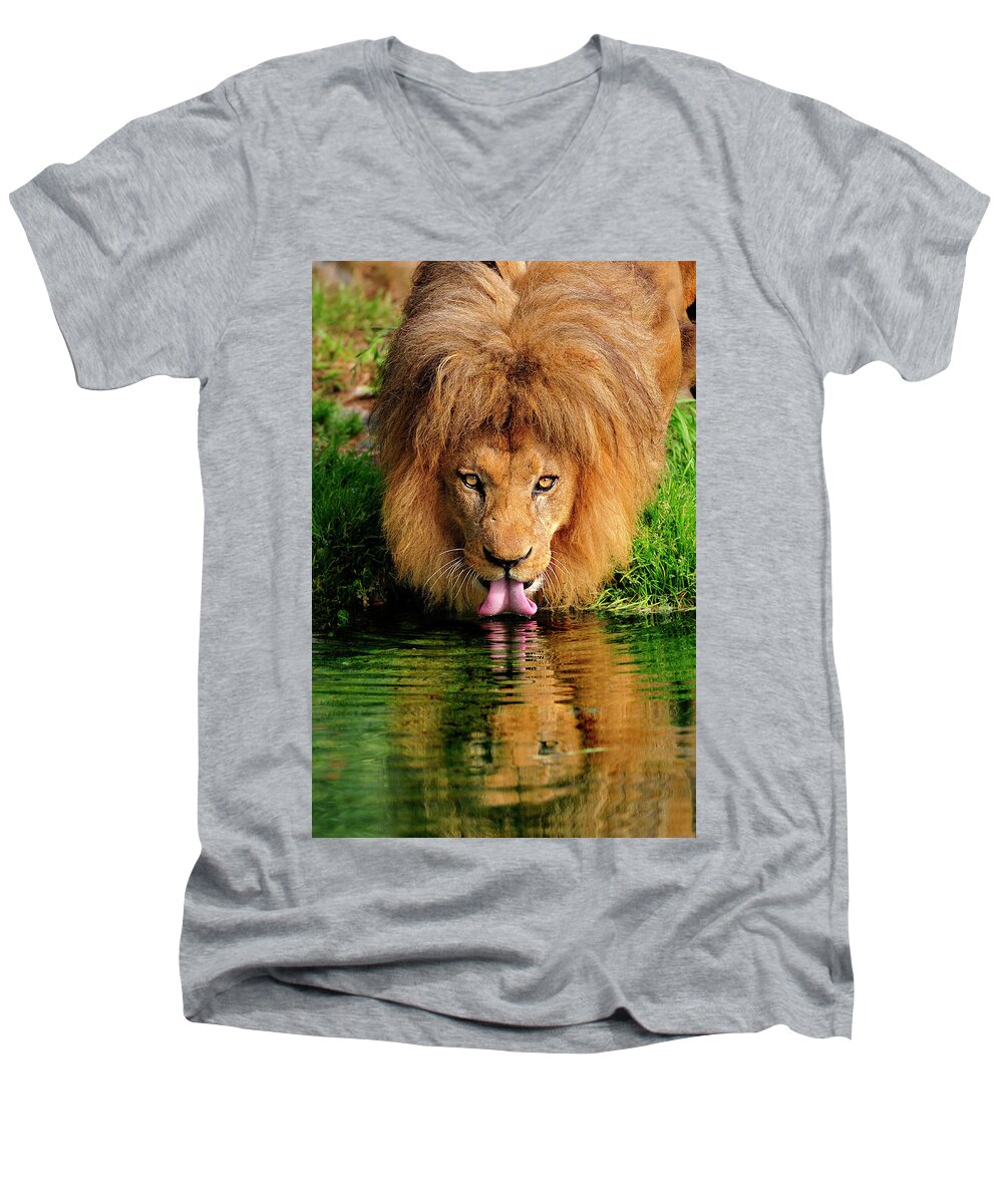 African Men's V-Neck T-Shirt featuring the photograph Christmas Lion by Bill Dodsworth