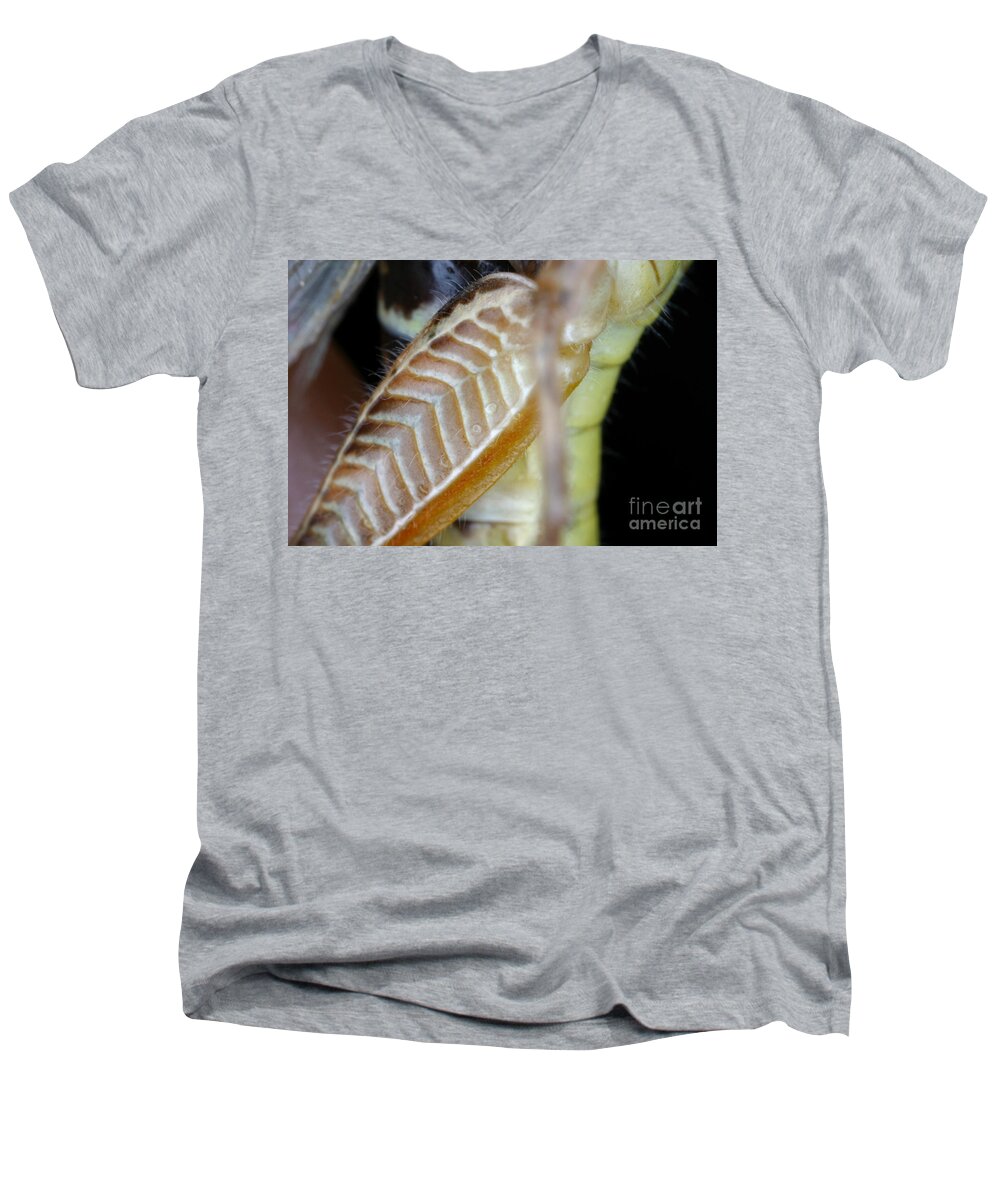 Animal Men's V-Neck T-Shirt featuring the photograph Close-up Of Grasshopper Leg by Ted Kinsman