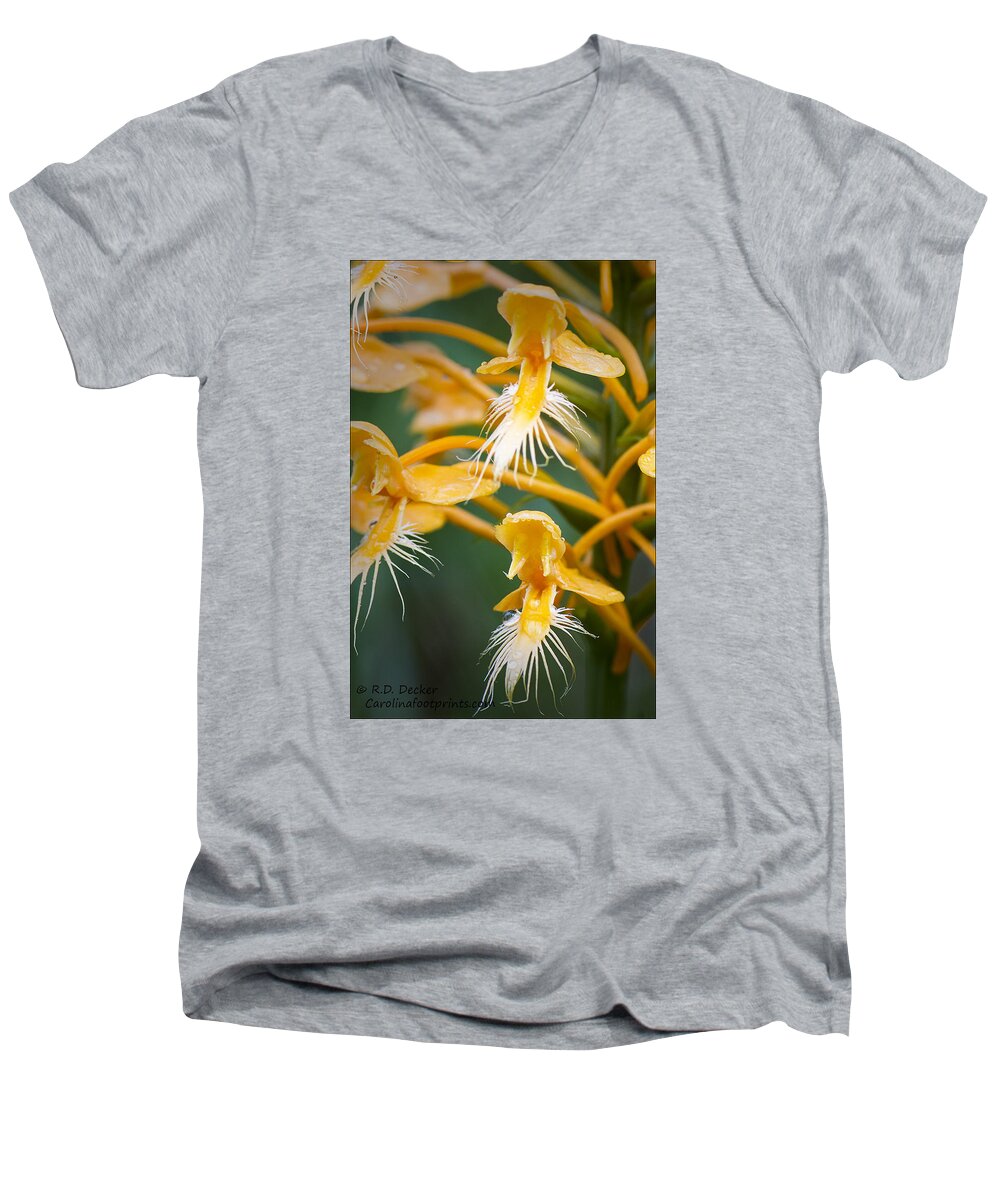 Yellow Men's V-Neck T-Shirt featuring the photograph Close-up of Yellow Fringed Orchid by Bob Decker