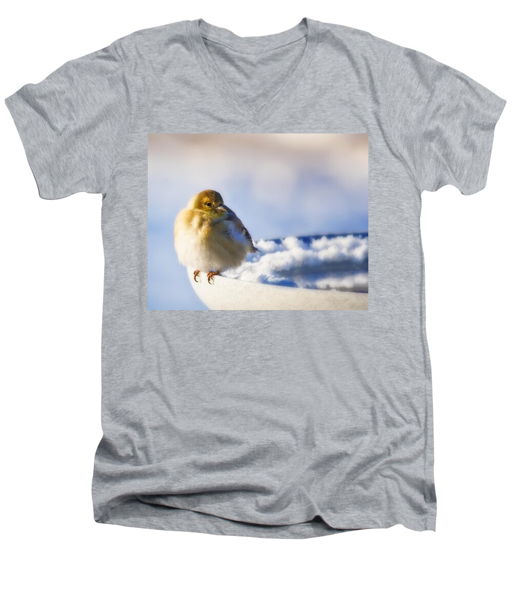 American Goldfinch Men's V-Neck T-Shirt featuring the photograph Cold American Goldfinch by Al Mueller