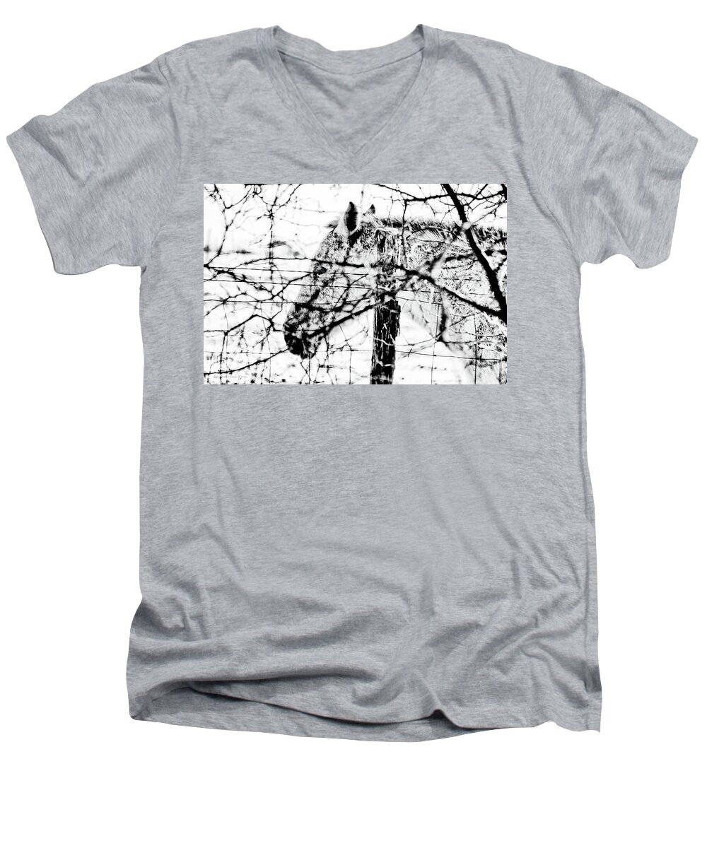 Texas Men's V-Neck T-Shirt featuring the photograph Cold Horse by Erich Grant