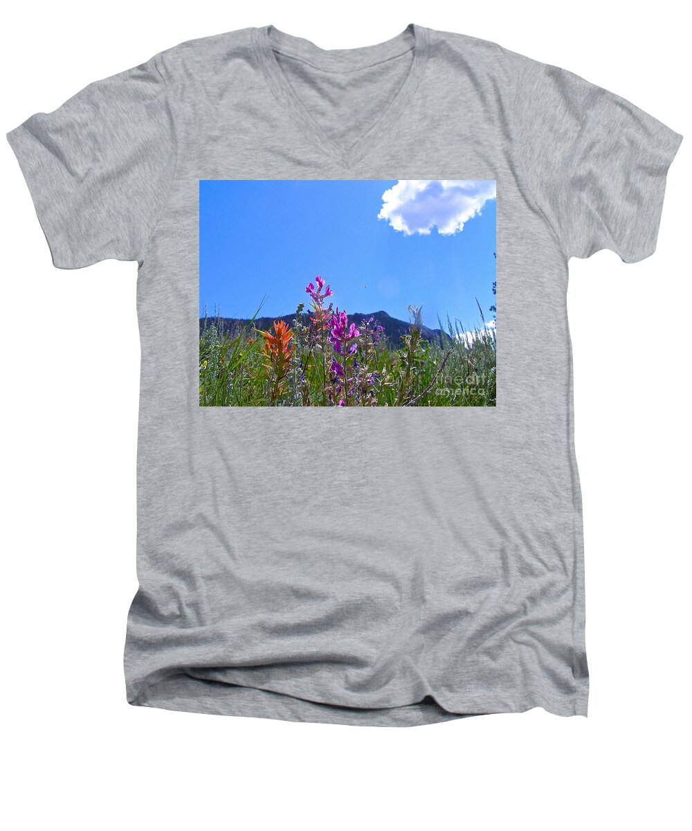 Rockie Mountain National Park Men's V-Neck T-Shirt featuring the photograph Colorado Colors by Alan Johnson
