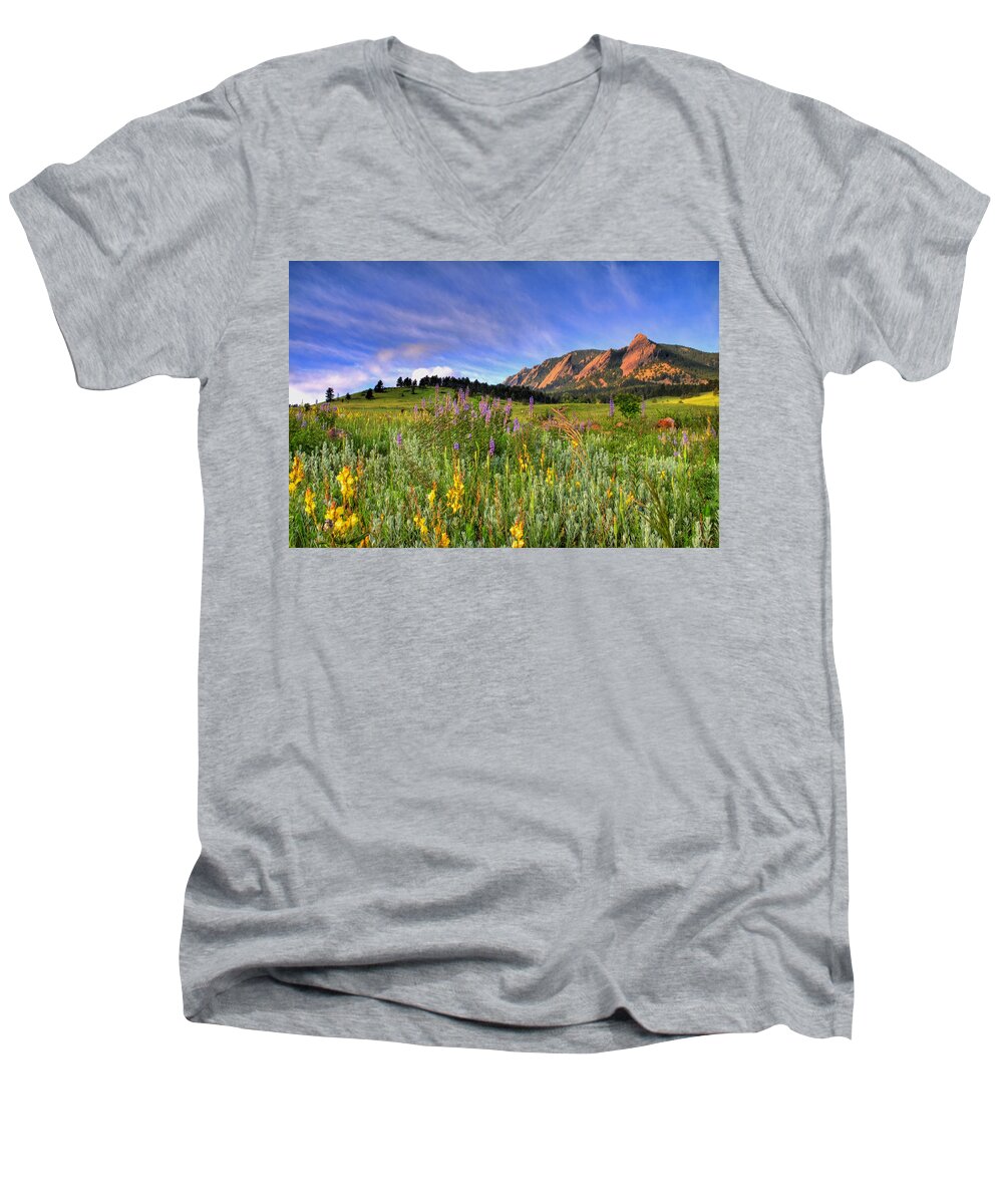 Colorado Men's V-Neck T-Shirt featuring the photograph Colorado Wildflowers by Scott Mahon