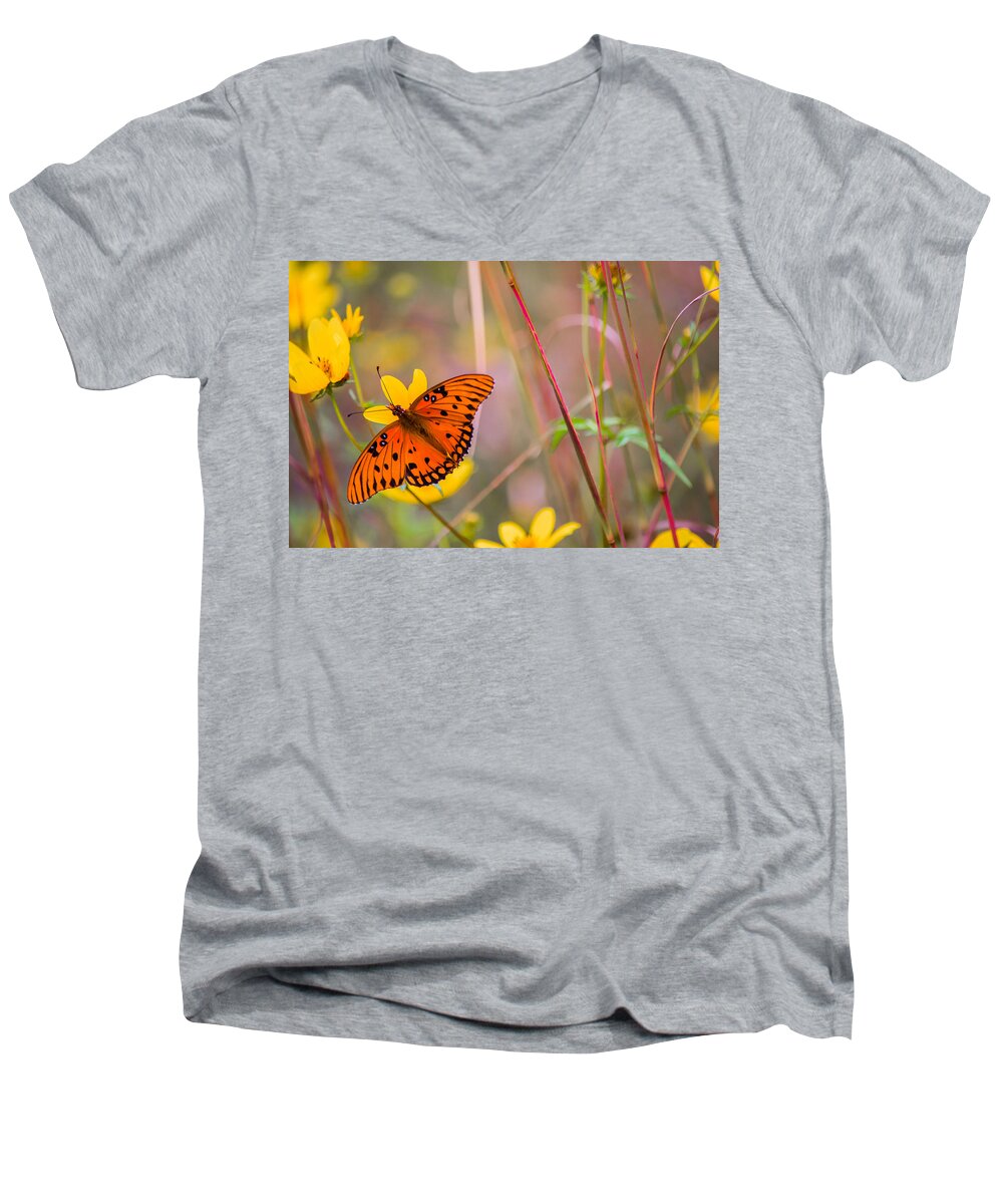 Butterfly Men's V-Neck T-Shirt featuring the photograph Colors of Summer by Parker Cunningham