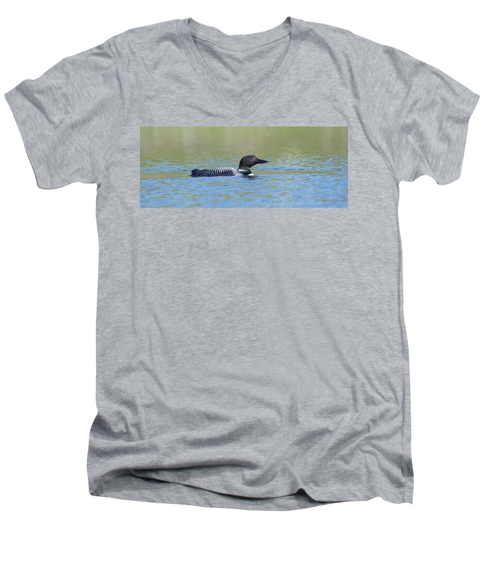 Common Men's V-Neck T-Shirt featuring the photograph Common Loon by Michael Peychich