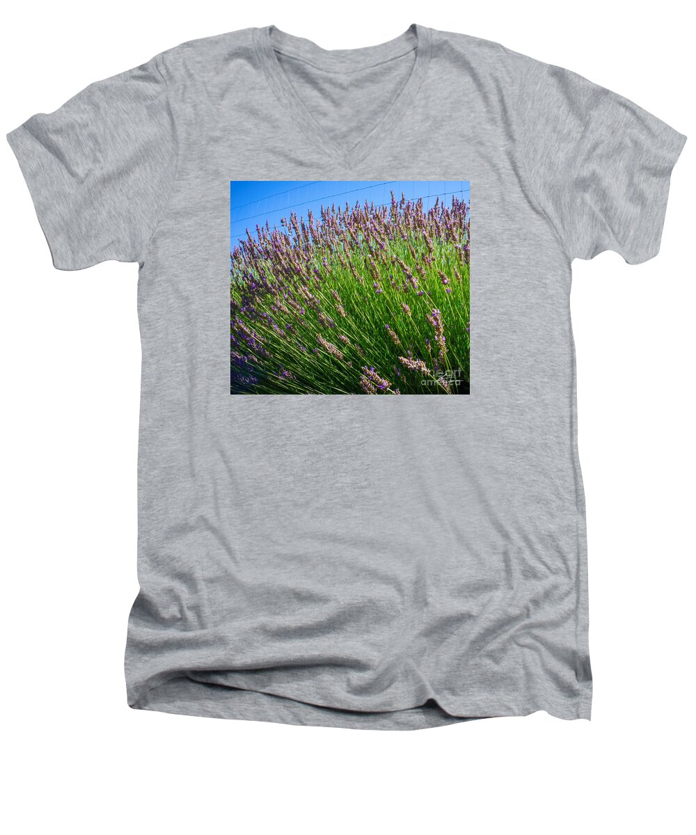 Flowers Men's V-Neck T-Shirt featuring the photograph Country Lavender I by Shari Warren