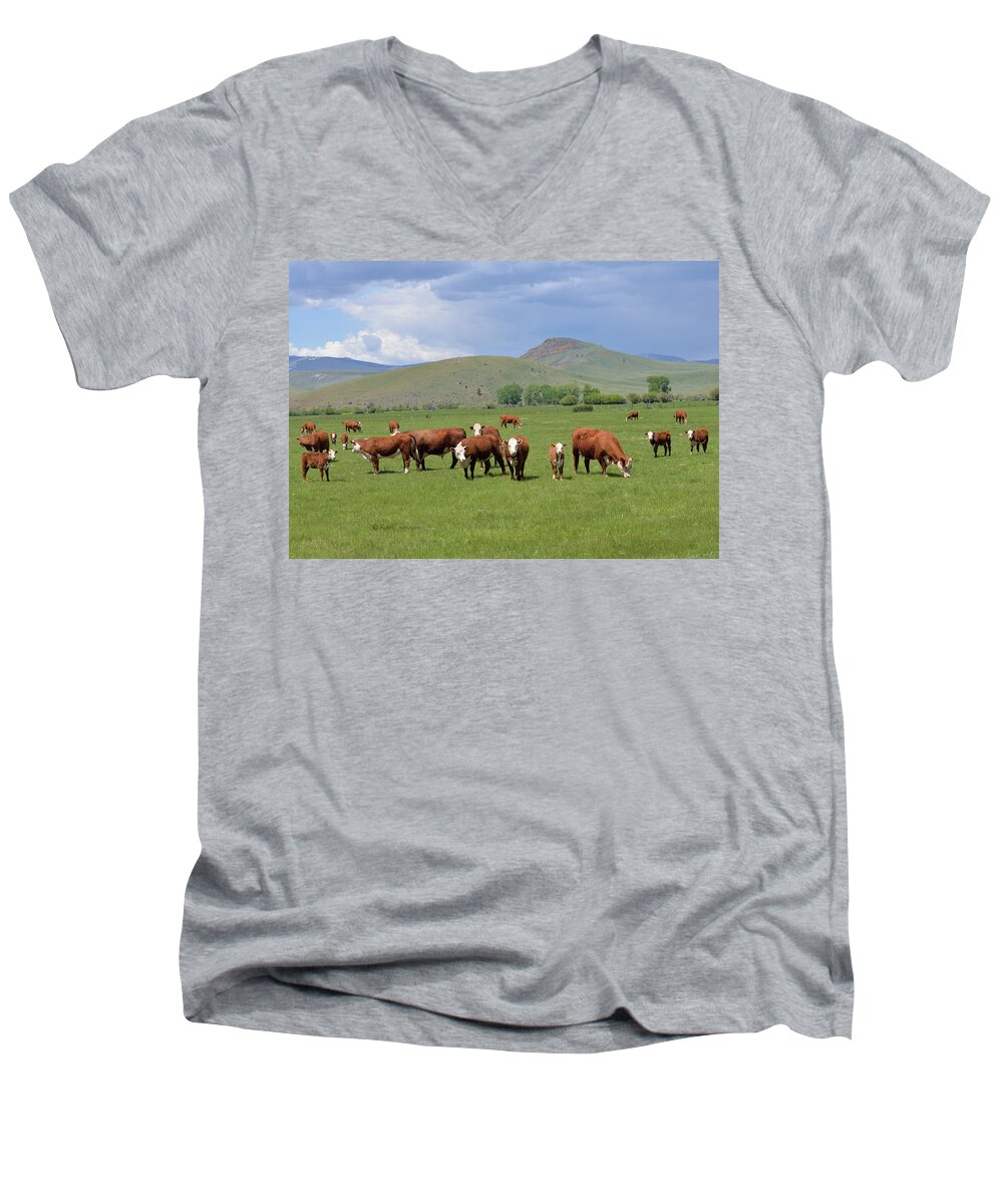 Cows Men's V-Neck T-Shirt featuring the photograph Cows and Calves by Kae Cheatham
