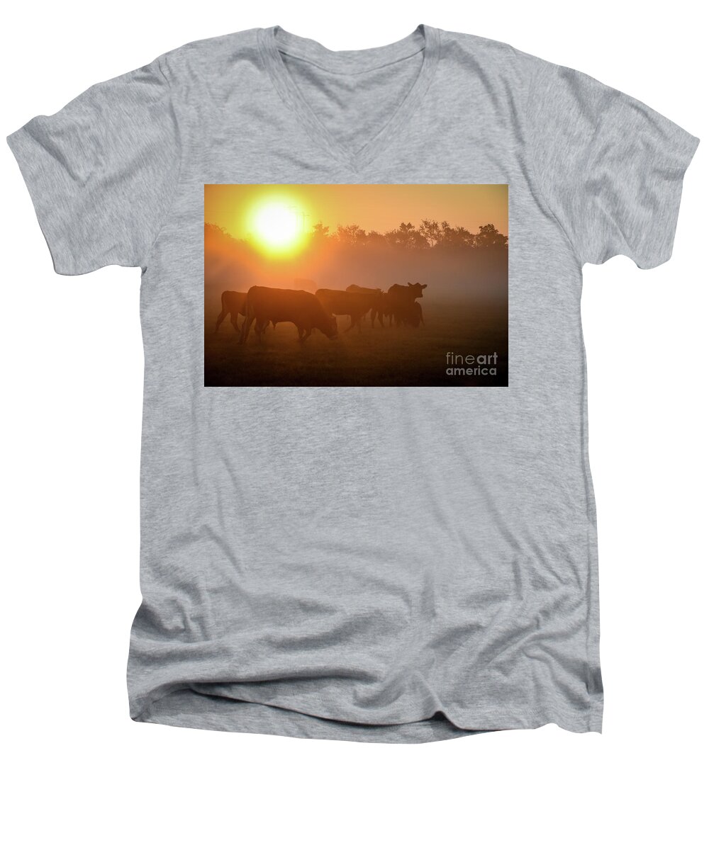 Cows Men's V-Neck T-Shirt featuring the photograph Cows in the Sunrise Mist by Cheryl McClure
