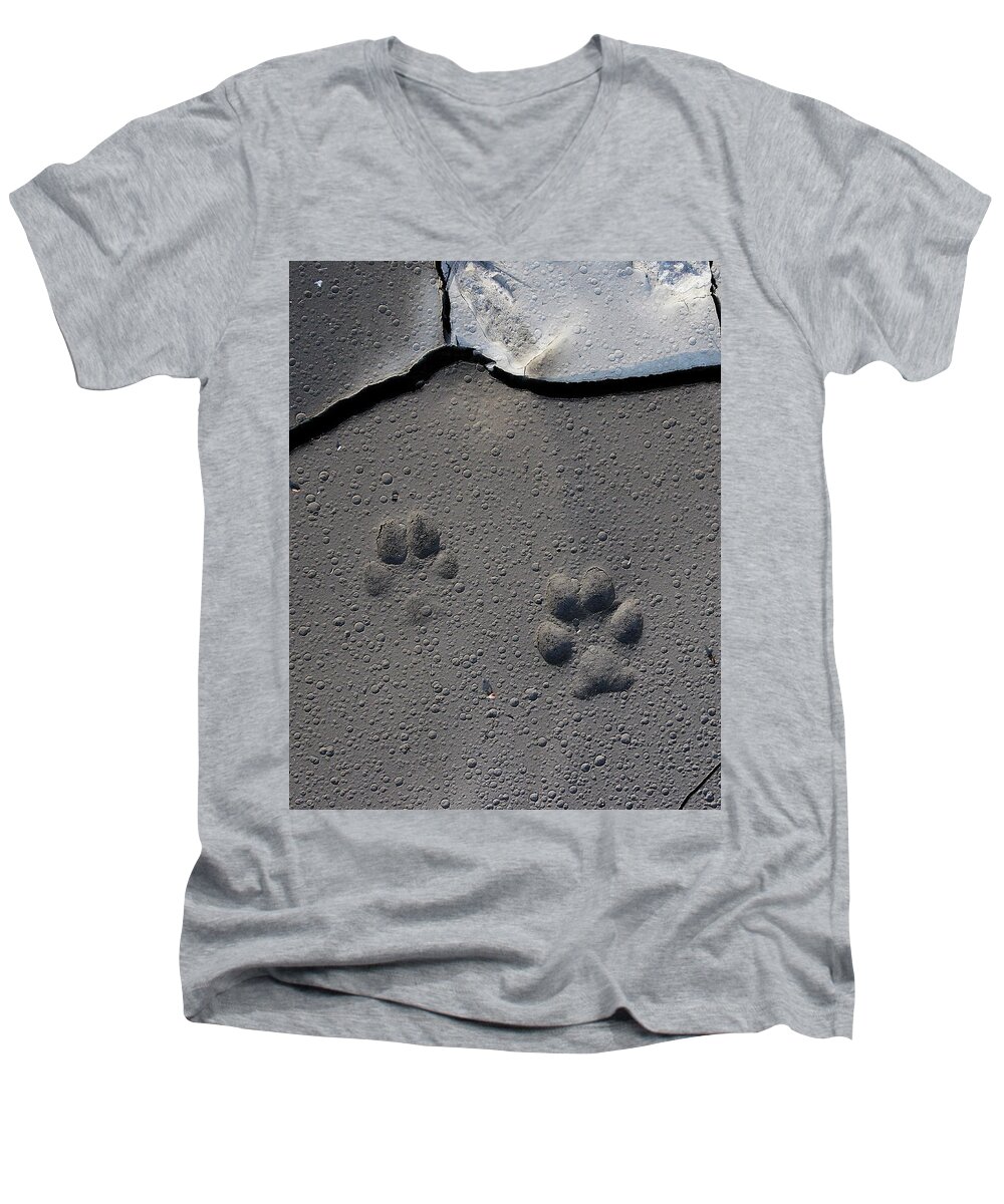 Wild Places Men's V-Neck T-Shirt featuring the photograph Coyote Tracks by Mark Miller
