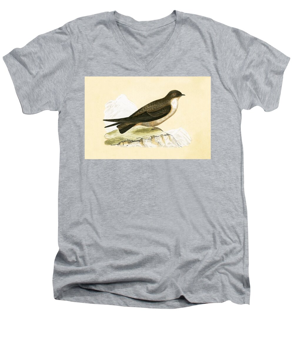 Bird Men's V-Neck T-Shirt featuring the painting Crag Swallow by English School