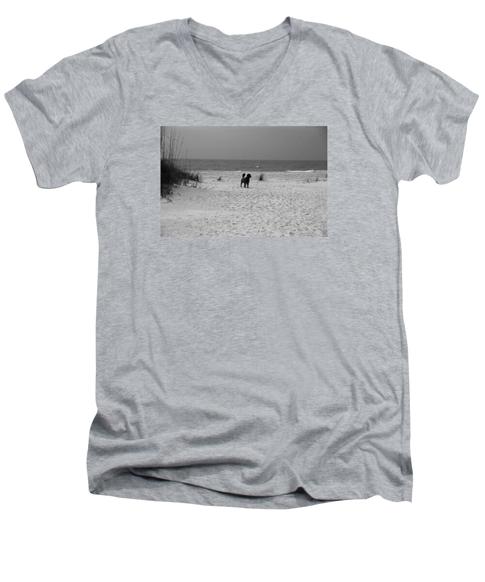 Anna Maria Island Men's V-Neck T-Shirt featuring the photograph Dandy on the Beach #1 by Michiale Schneider