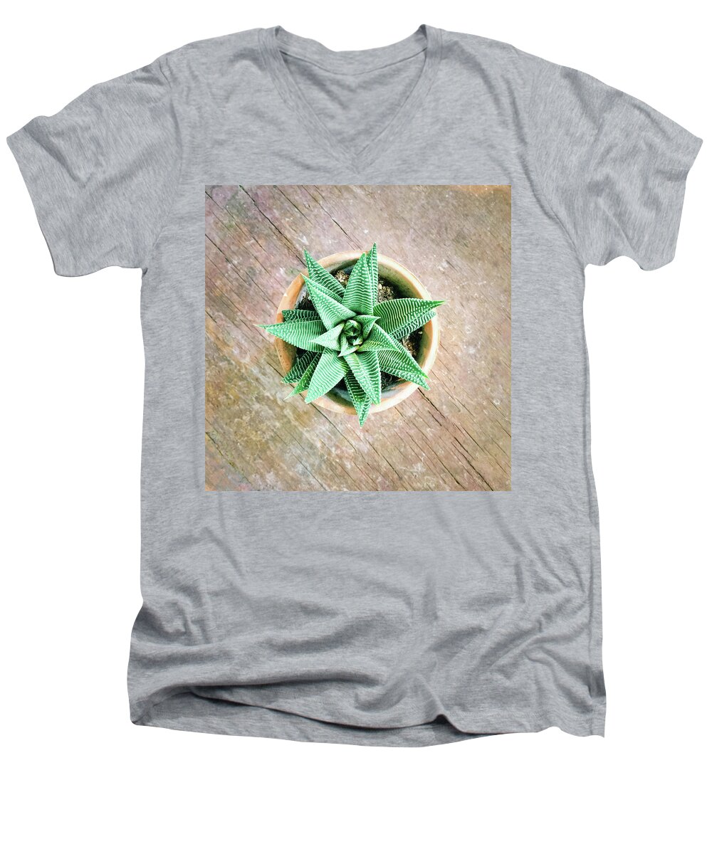 Aloe Men's V-Neck T-Shirt featuring the photograph Decorative aloe plant on old wooden surface by GoodMood Art
