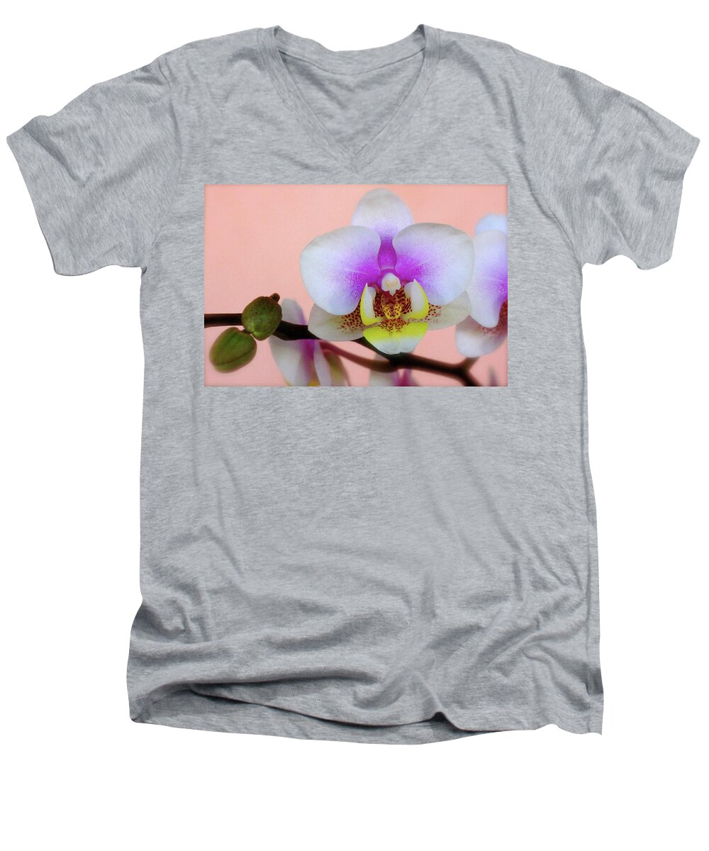 Orchid Men's V-Neck T-Shirt featuring the photograph Delicate by Rochelle Berman