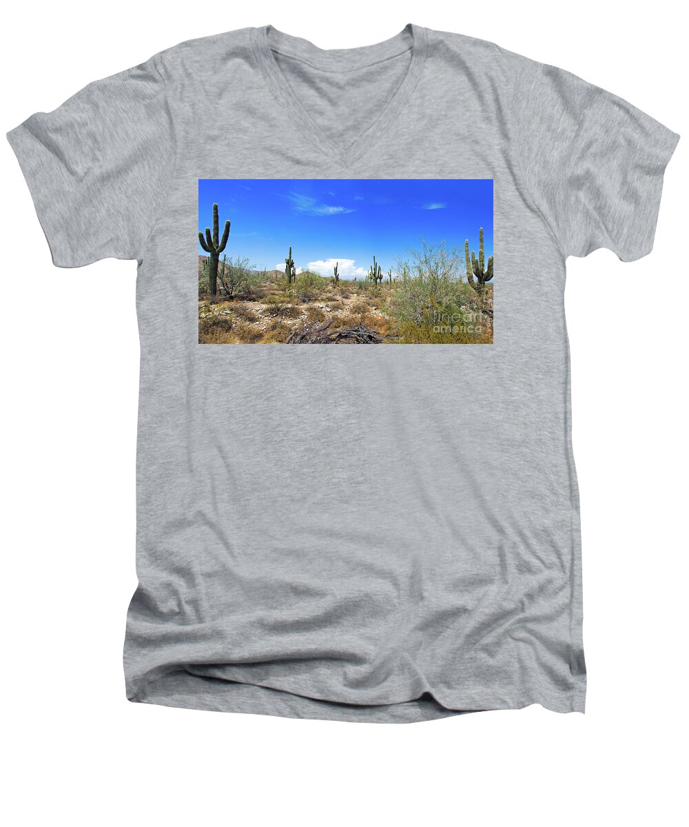 Arizona Men's V-Neck T-Shirt featuring the photograph Desert View by Bob Hislop