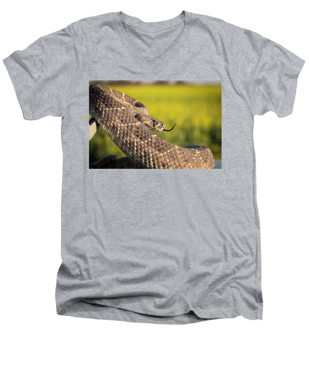 Kansas Men's V-Neck T-Shirt featuring the photograph Diamondback and Canola Field by Chris Harris