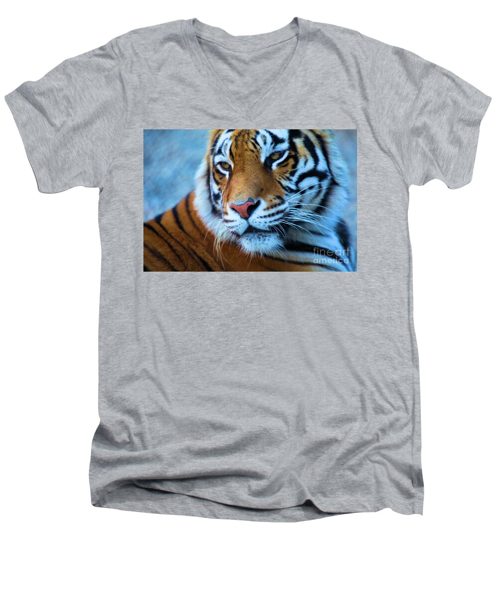 Big Cat Men's V-Neck T-Shirt featuring the photograph Distracted by Adam Jewell