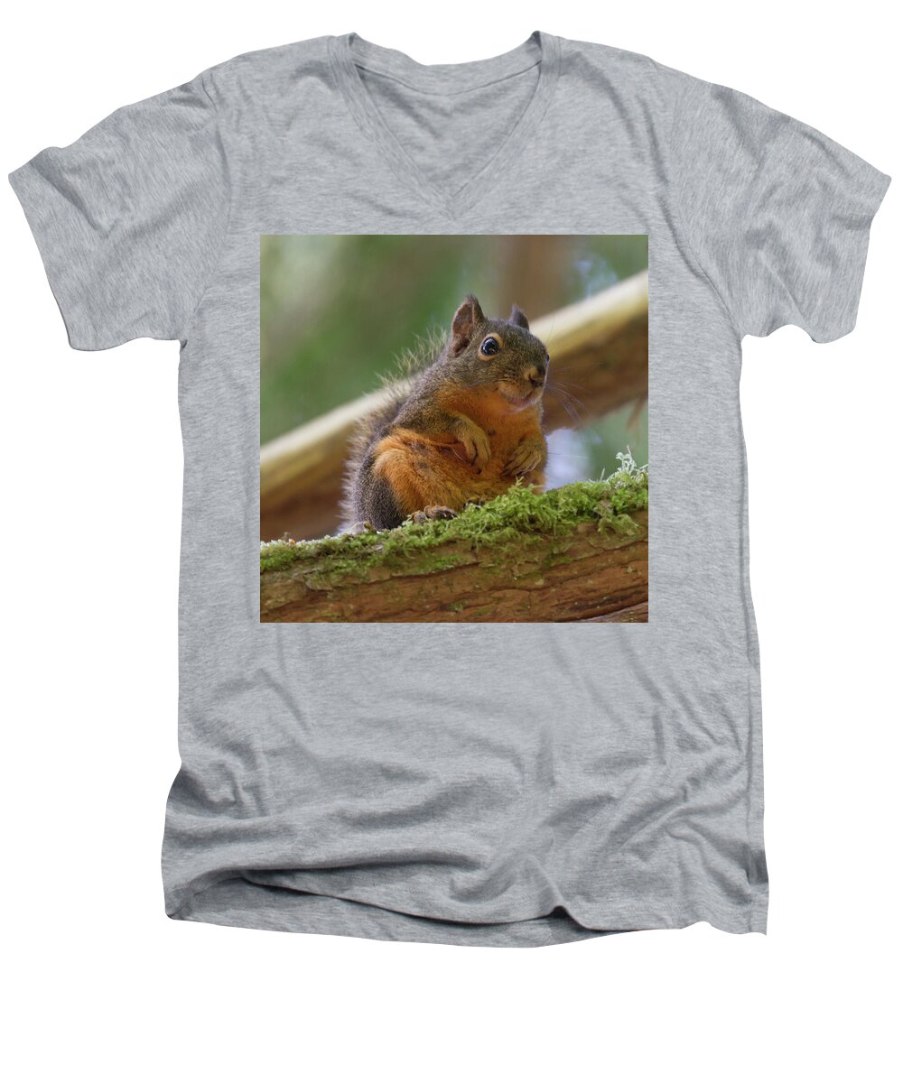Squirrel Men's V-Neck T-Shirt featuring the photograph Douglas Squirrel by Paul Rebmann