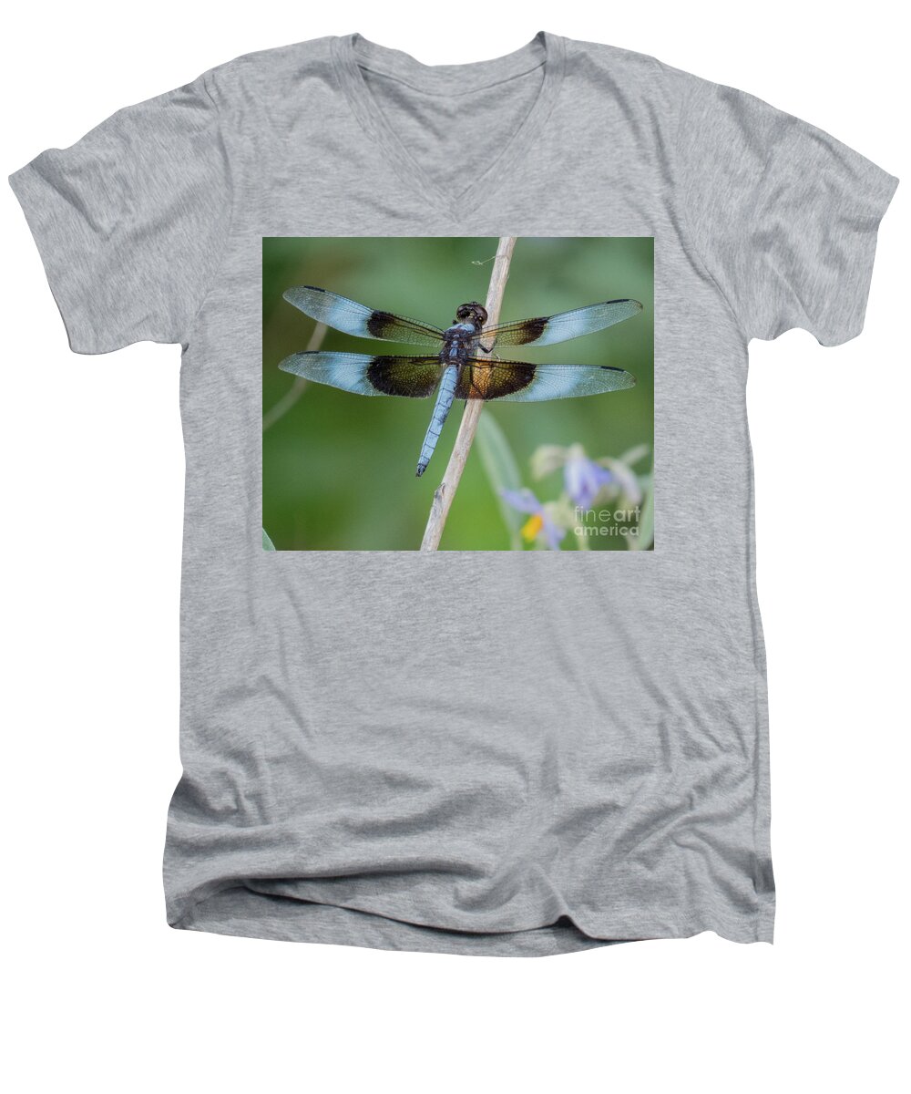 Dragonfly Men's V-Neck T-Shirt featuring the photograph Dragonfly 12 by Christy Garavetto