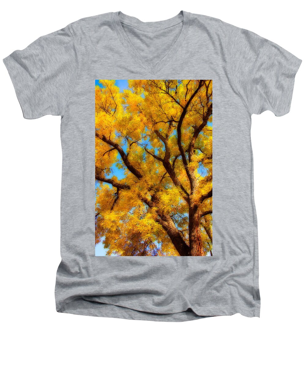 Giant Men's V-Neck T-Shirt featuring the photograph Dreamy Crisp Autumn Day by James BO Insogna