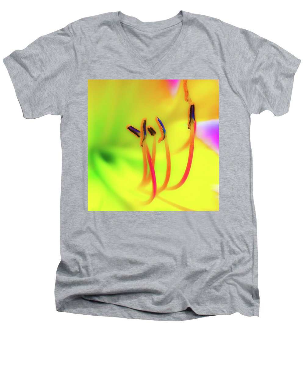 Cleveland Botanical Gardens Men's V-Neck T-Shirt featuring the photograph Dreamy Daylily by Stewart Helberg
