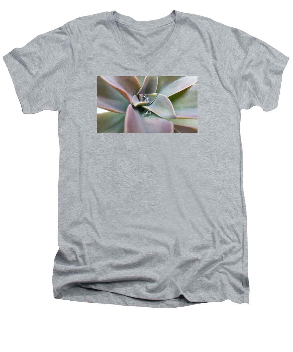 Water Men's V-Neck T-Shirt featuring the photograph Droplets on Succulent by Ian Kowalski