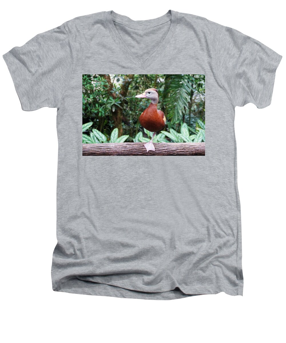 Duck Men's V-Neck T-Shirt featuring the photograph Duckling by Julia Ivanovna Willhite