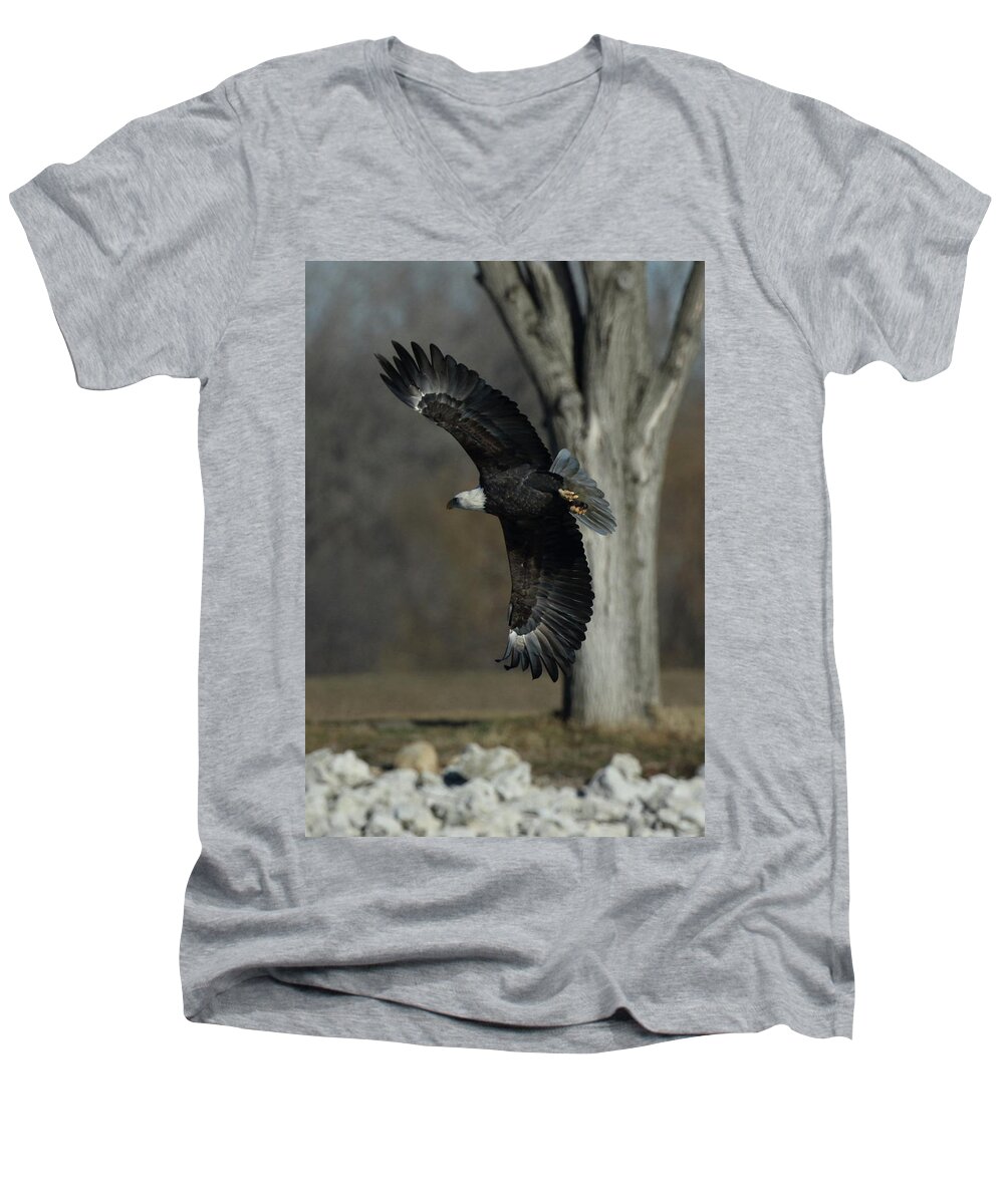 Eagle Men's V-Neck T-Shirt featuring the photograph Eagle Soaring by Tree by Coby Cooper