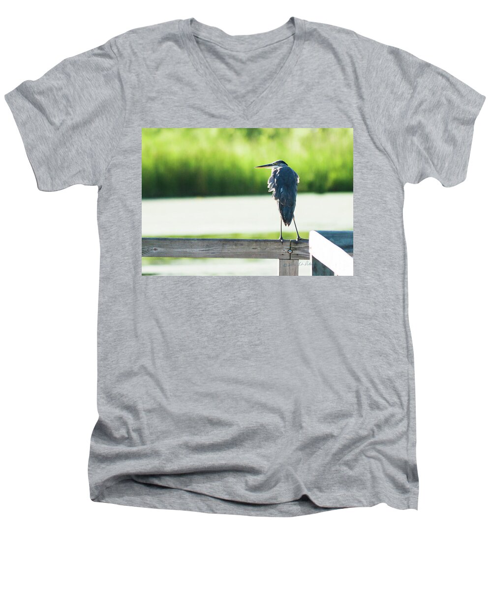Great Blue Heron Men's V-Neck T-Shirt featuring the photograph Early Morning Great Blue Heron by Ed Peterson