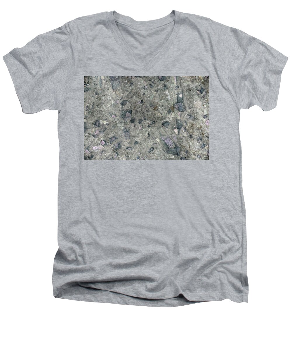 Macro Men's V-Neck T-Shirt featuring the photograph Earth Portrait 158 by David Waldrop