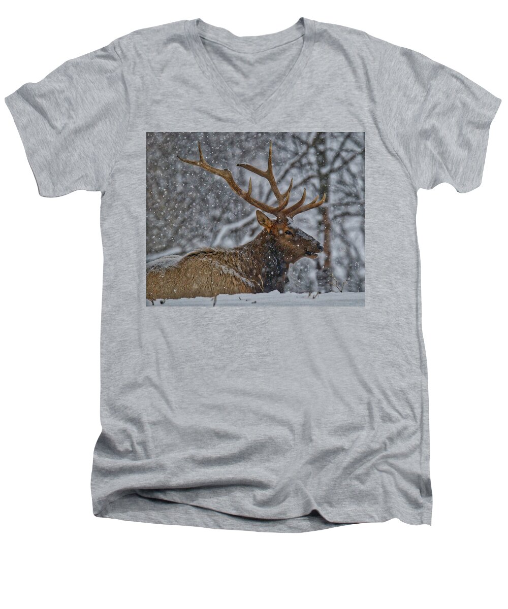 Bull Men's V-Neck T-Shirt featuring the photograph Elk Enjoying the Snow by Michael Peychich