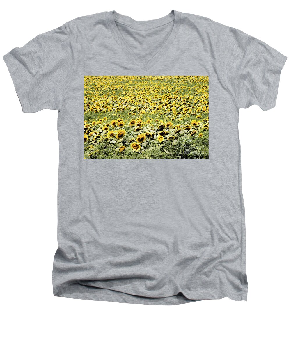 Endless Sunflowers Men's V-Neck T-Shirt featuring the photograph Endless Sunflowers by Jim DeLillo