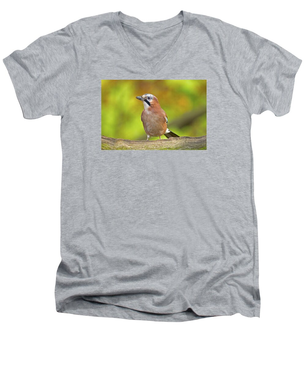 Jay Men's V-Neck T-Shirt featuring the photograph Eurasian Jay by Paul Scoullar