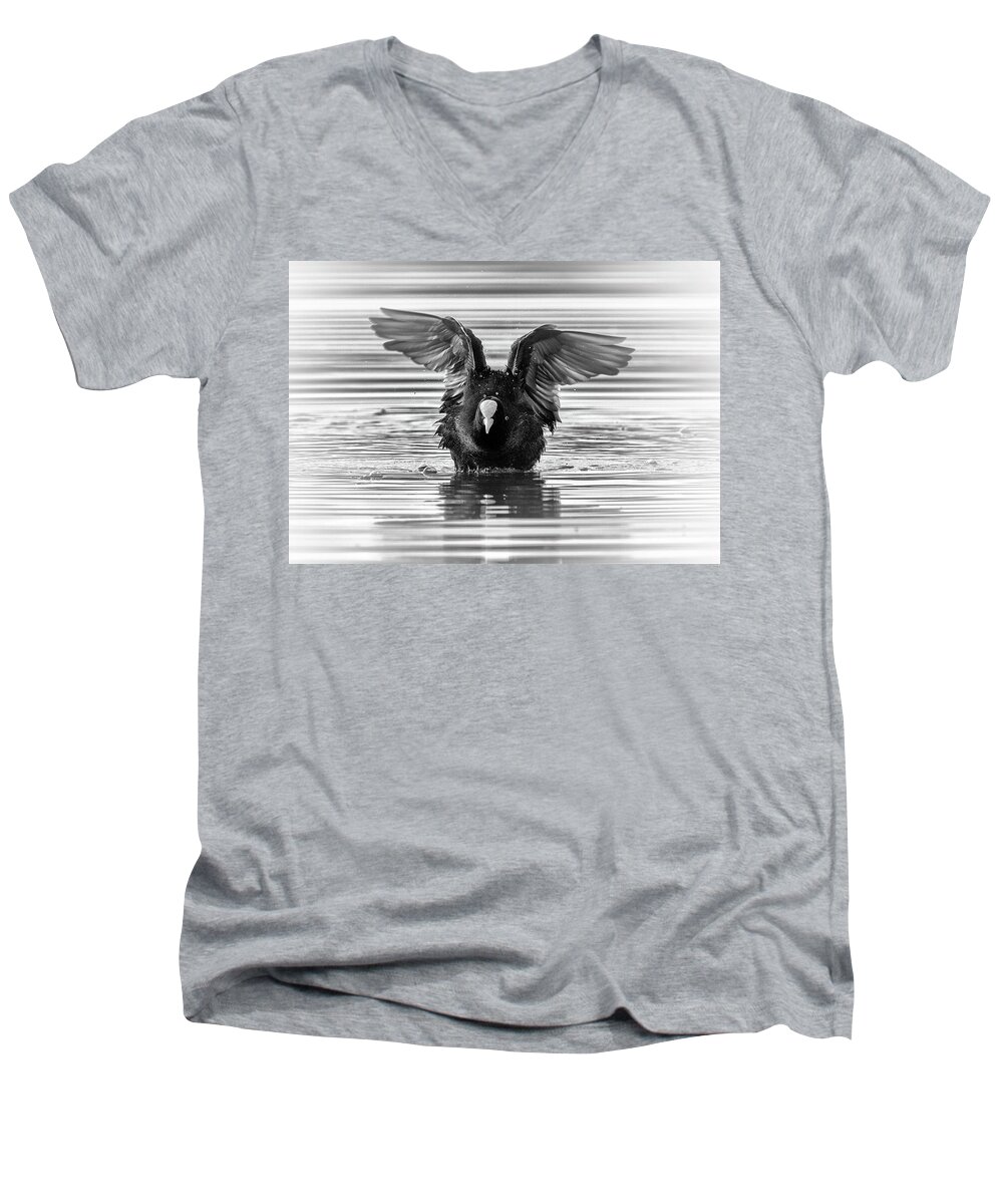 Coot Men's V-Neck T-Shirt featuring the photograph Eurasian or common coot, fulicula atra, duck by Elenarts - Elena Duvernay photo