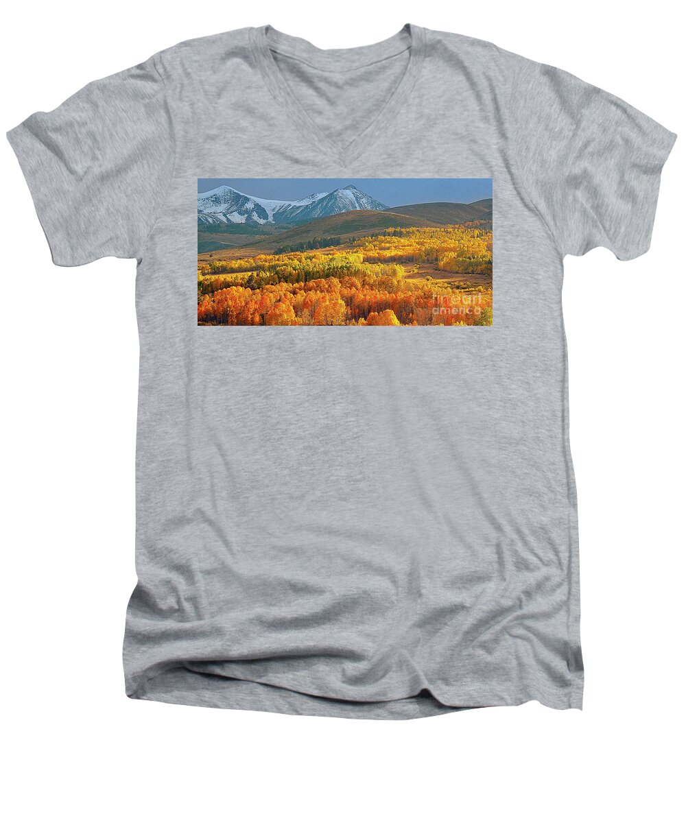 Aspen Grove Men's V-Neck T-Shirt featuring the photograph Evening Aspen by L J Oakes