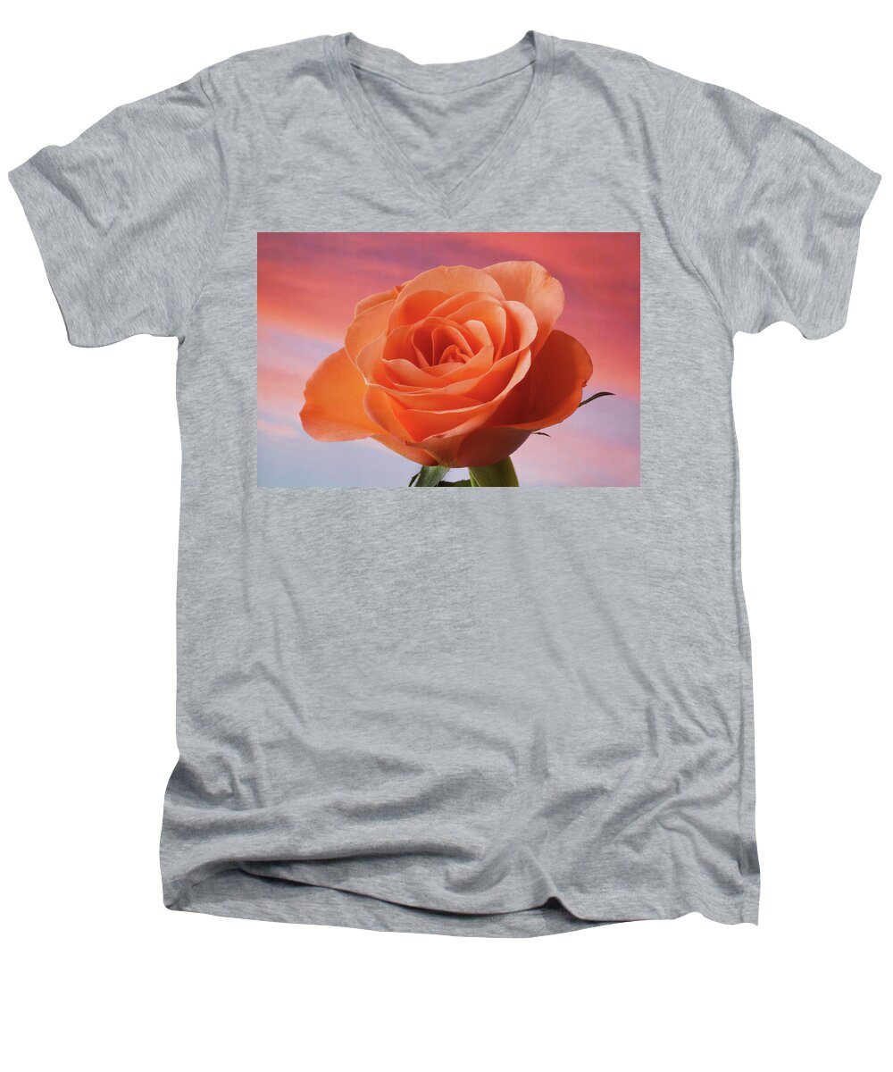 Rose Portrait Men's V-Neck T-Shirt featuring the photograph Evening Rose by Terence Davis