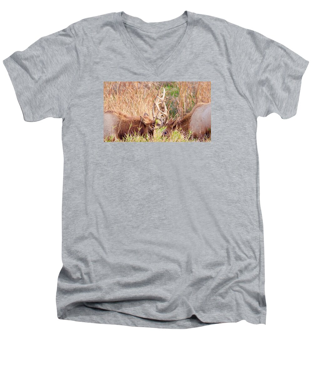 Elk Men's V-Neck T-Shirt featuring the photograph Face Off by Todd Kreuter