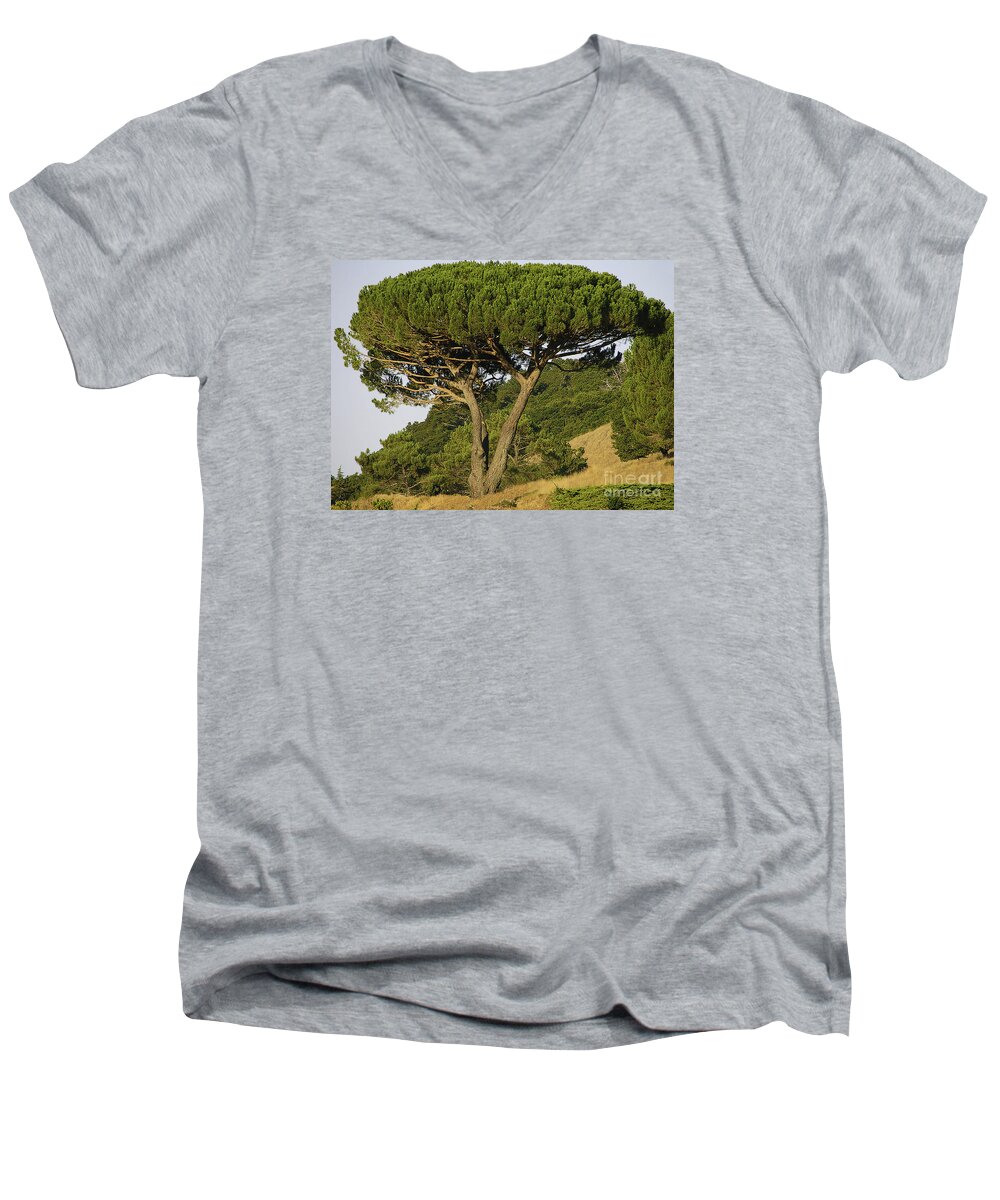 Tree Men's V-Neck T-Shirt featuring the photograph Fairfax Beauty by Joyce Creswell