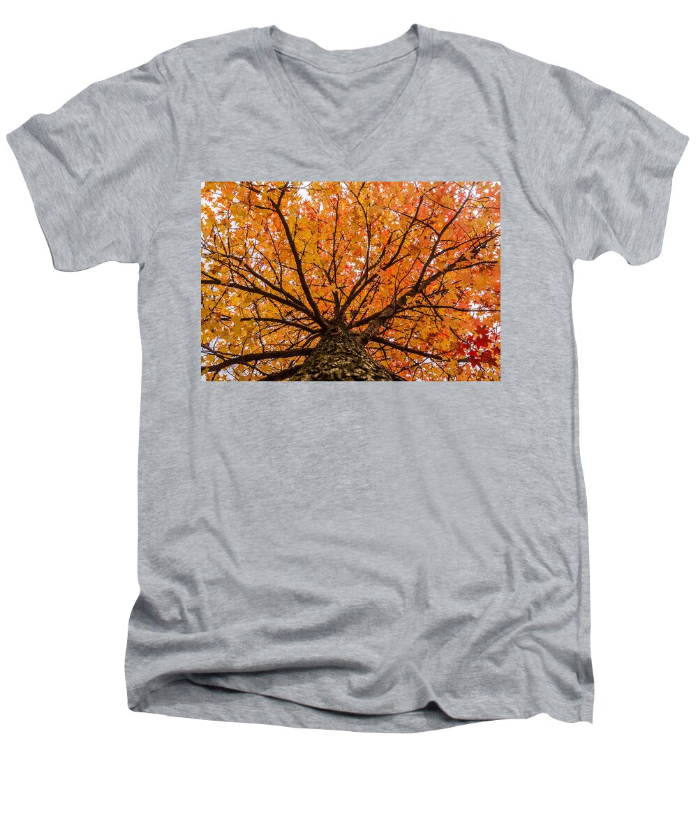 Autumn Men's V-Neck T-Shirt featuring the photograph Fall display by SAURAVphoto Online Store