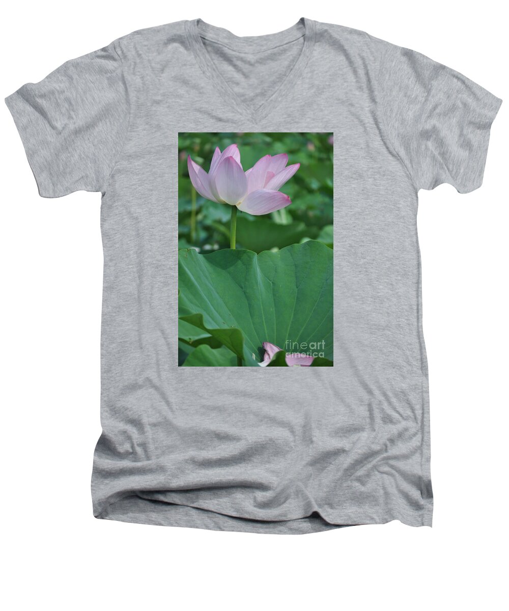 Lotus Men's V-Neck T-Shirt featuring the photograph Falling Petals by Nona Kumah