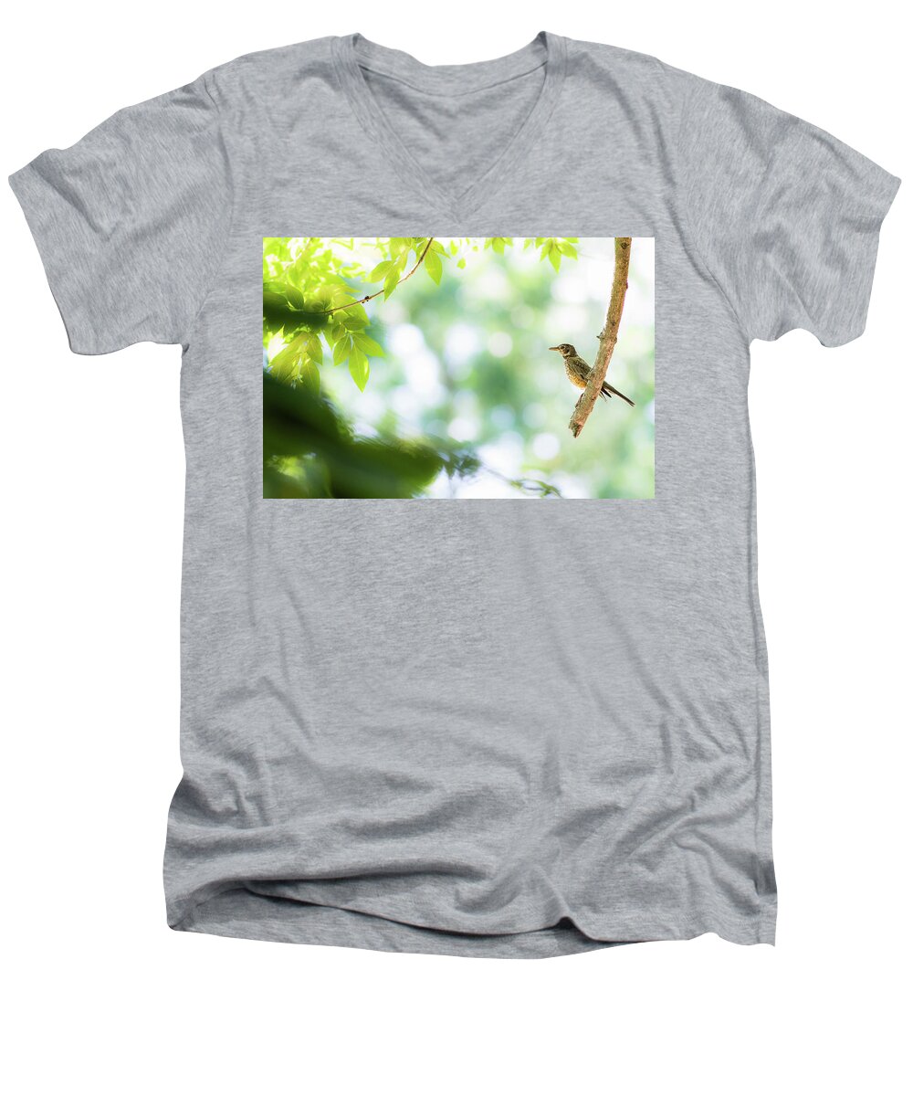 Bird Men's V-Neck T-Shirt featuring the photograph Fast Food by Annette Hugen