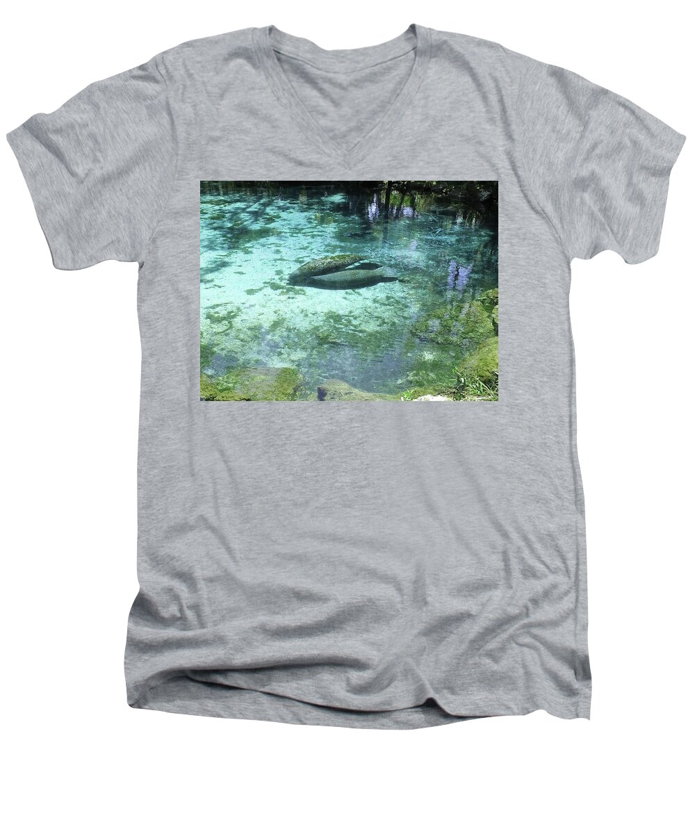 Three Sisters Springs Men's V-Neck T-Shirt featuring the photograph Feeding Her Calf by Judy Wanamaker