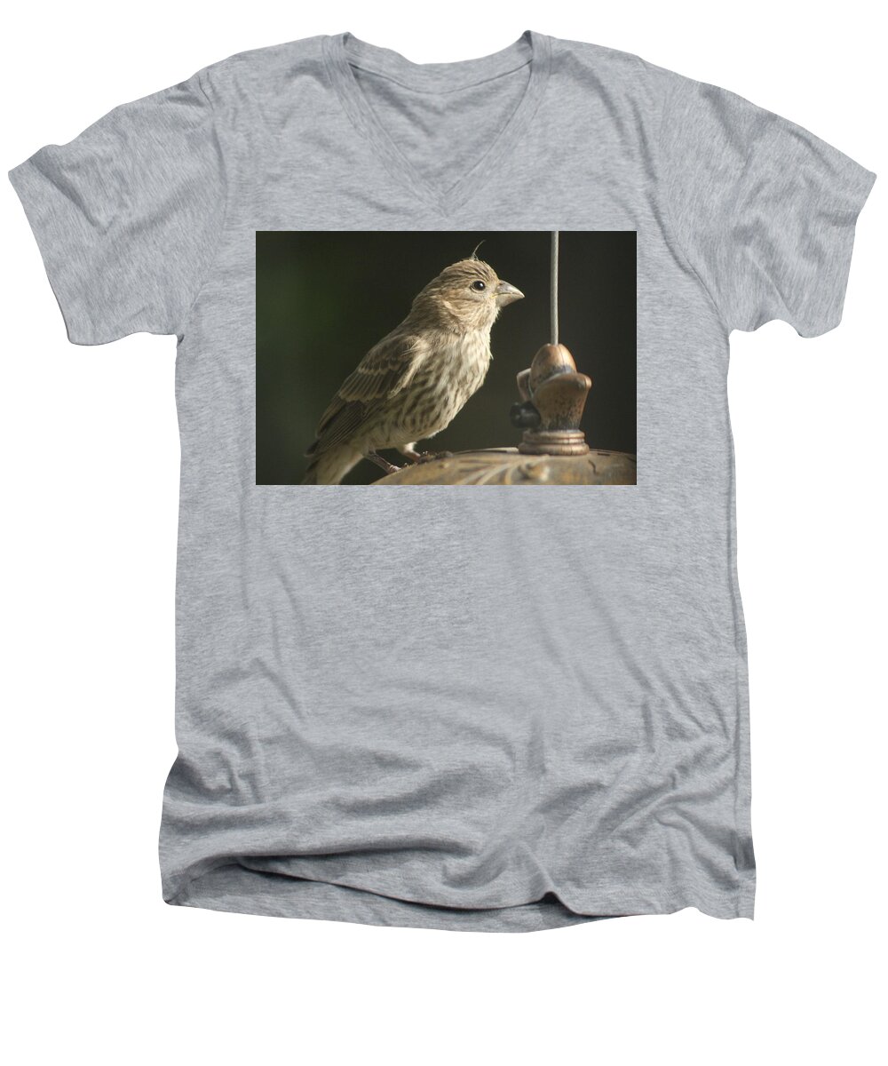 Female House Finch Men's V-Neck T-Shirt featuring the photograph Female House Finch on Feeder by Colleen Cornelius